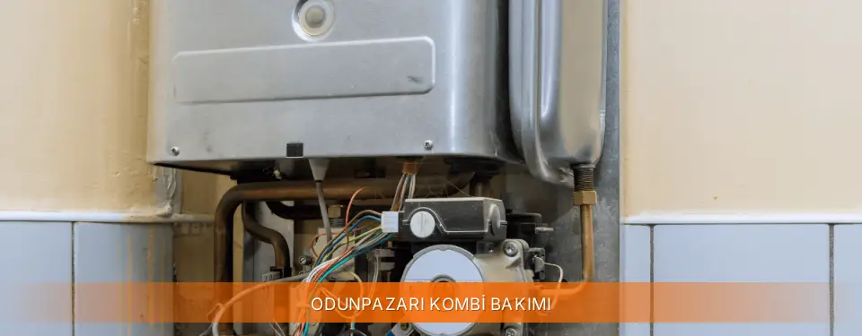 Odunpazarı İlçemi Warmhaus Kombi Bakımı