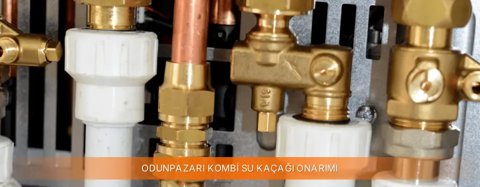 Odunpazarı İlçemi Warmhaus Kombi Su Kaçağı Onarımı