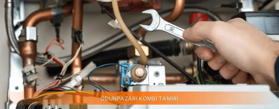 Odunpazarı İlçemi Warmhaus Kombi Tamiri