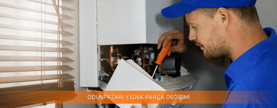 Odunpazarı İlçemi Warmhaus Yedek Parça Değişimi